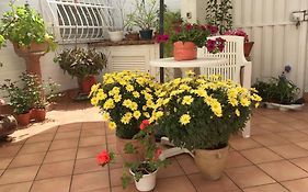 Lucilla'S World B&B